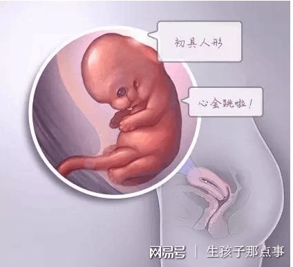 慈安中西医结合试管中心
